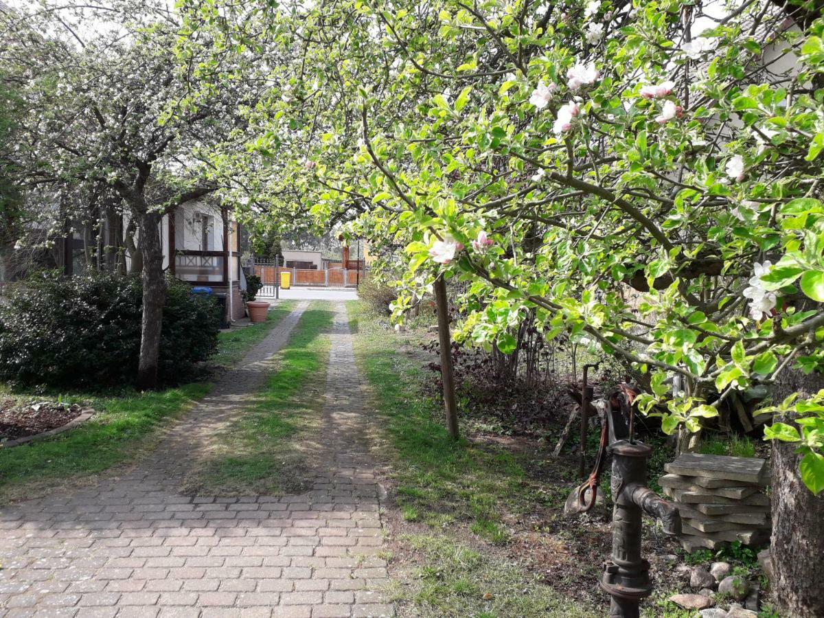 Ferienhaus Gartentraum Rheinsberg Exterior foto
